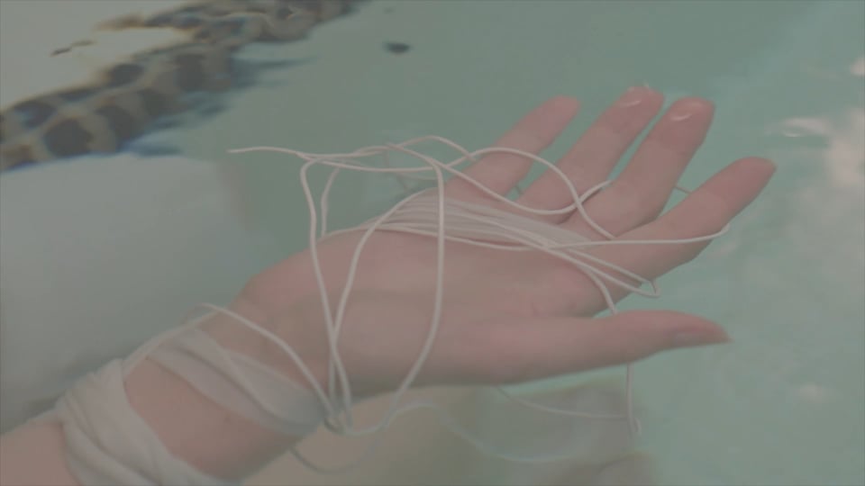 Link 8