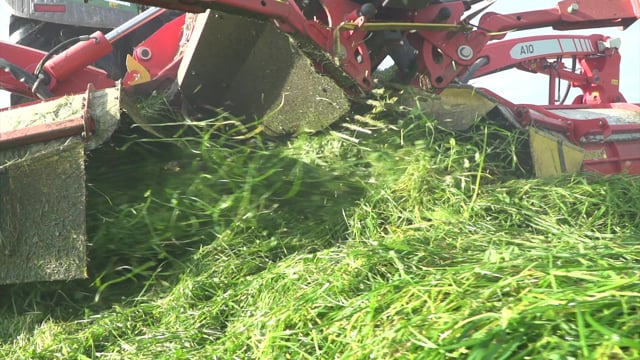 Segadora Pöttinger NOVACAT A10 CROSS FLOW con sinfines hileradores