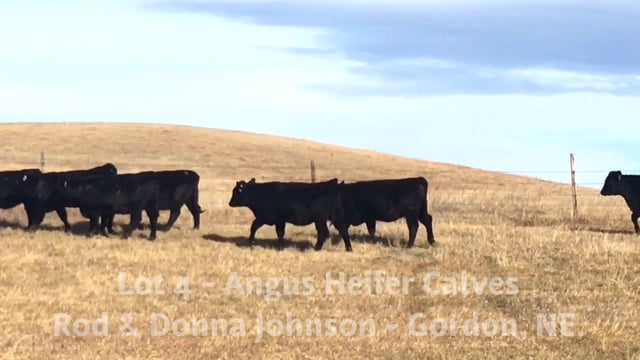 Krebs Ranch Fall Roundup Sale On Vimeo