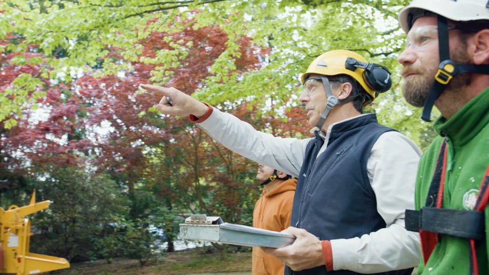 TCIA Accreditation, a TCIA video by Waves Media