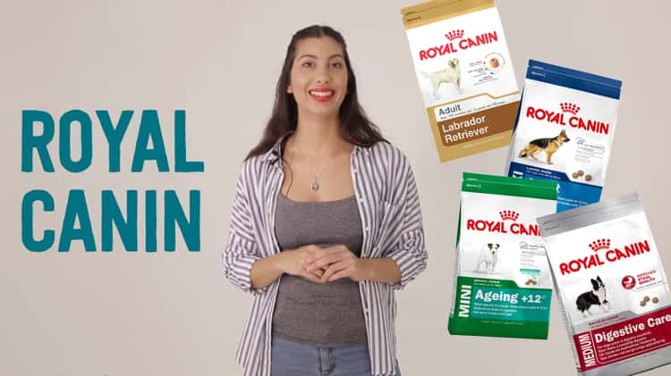 Pet circle royal canin sale