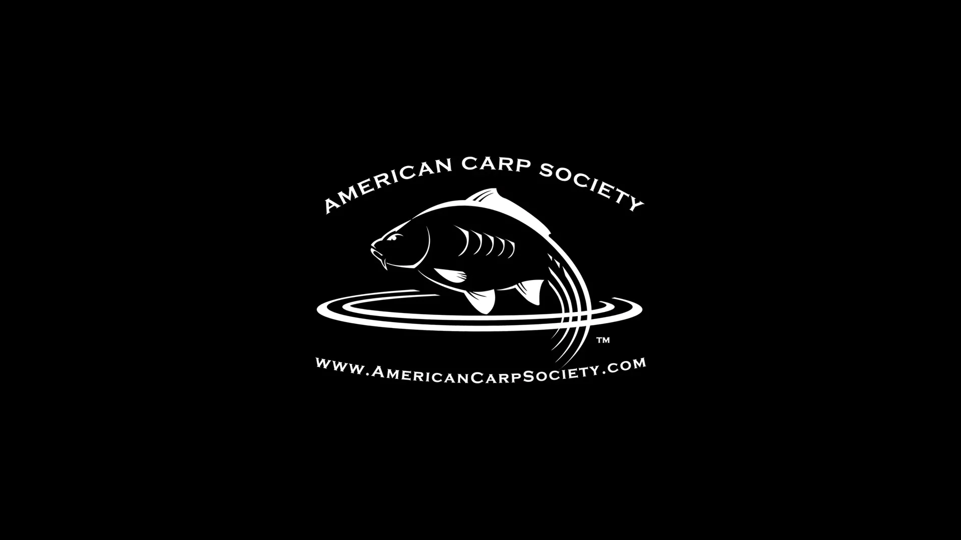 American Carp Society Website Promo