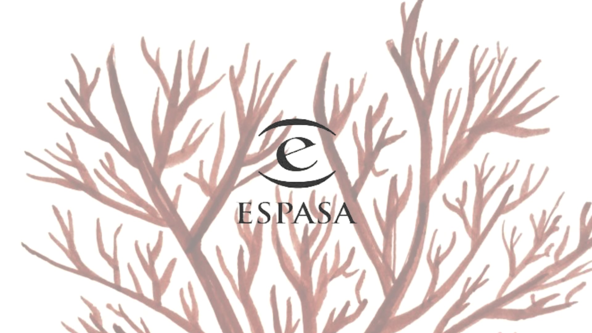 ESPASA - Elisa Levi "Perdida en un bol de cereales" por Leire Garmendia