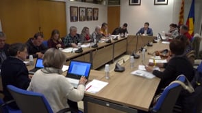 Es celebra el ple de desembre