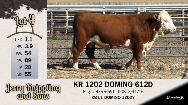 Lot #4 - KR 1202 DOMINO 612D