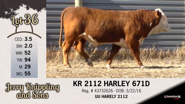 Lot #36 - KR 2112 HARLEY 671D