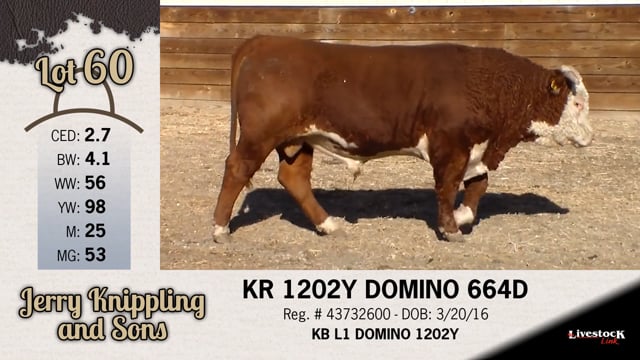 Lot #60 - KR 1202Y DOMINO 664D