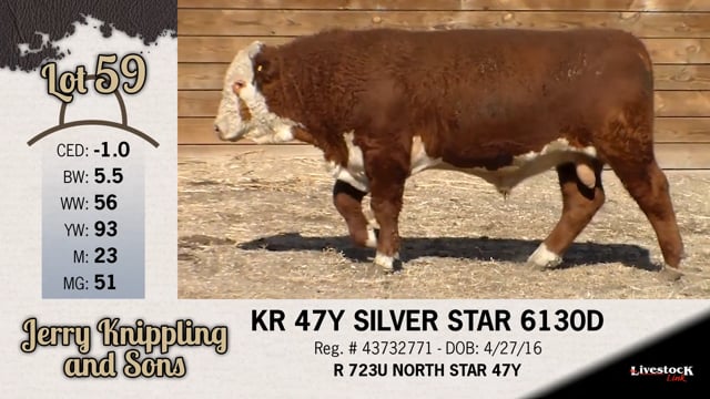 Lot #59 - KR 47Y SILVER STAR 6130D