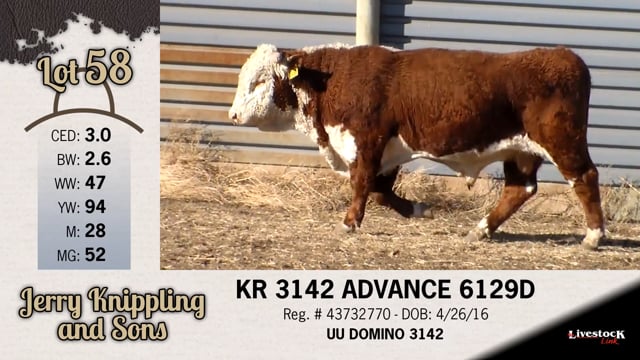 Lot #58 - KR 3142 ADVANCE 6129D