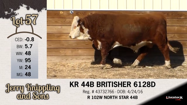Lot #57 - KR 44B BRITISHER 6128D