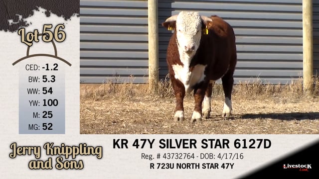 Lot #56 - KR 47Y SILVER STAR 6127D