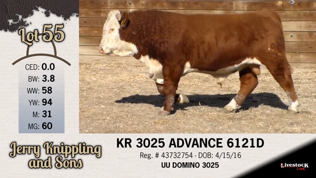 Lot #55 - KR 3025 ADVANCE 6121D