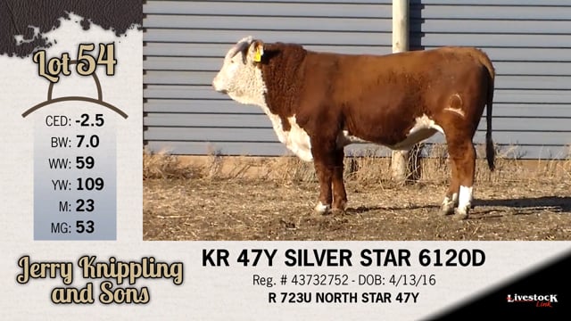 Lot #54 - KR 47Y SILVER STAR 6120D
