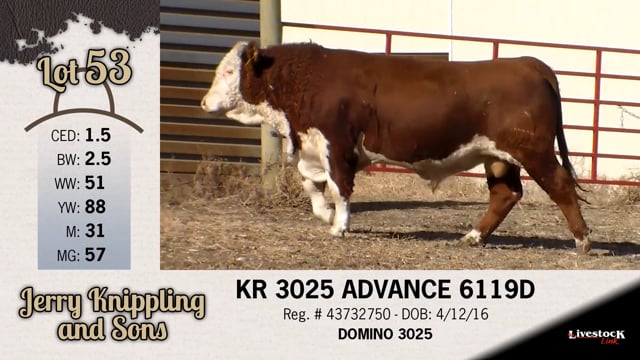 Lot #53 - KR 3025 ADVANCE 6119D