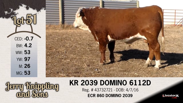 Lot #51 - KR 2039 DOMINO 6112D