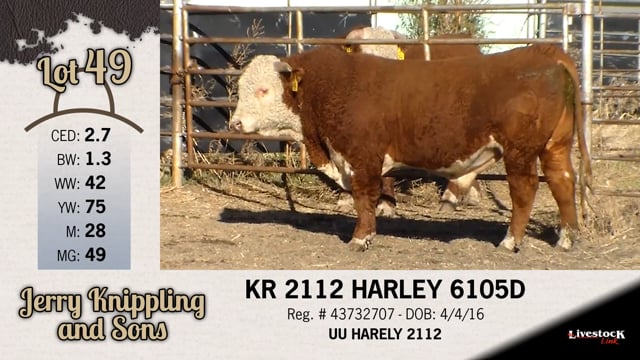 Lot #49 - KR 2112 HARLEY 6105D