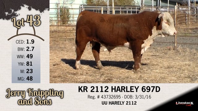 Lot #43 - KR 2112 HARLEY 697D
