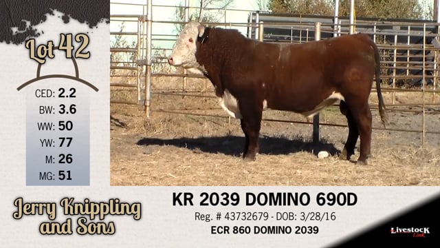 Lot #42 - KR 2039 DOMINO 690D