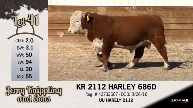 Lot #41 - KR 2112 HARLEY 686D
