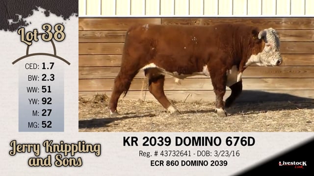 Lot #38 - KR 2039 DOMINO 676D