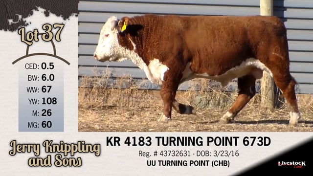 Lot #37 - KR 4183 TURNING POINT 673D