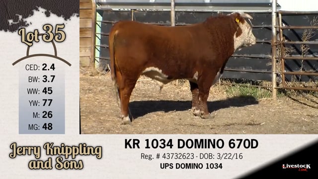 Lot #35 - KR 1034 DOMINO 670D