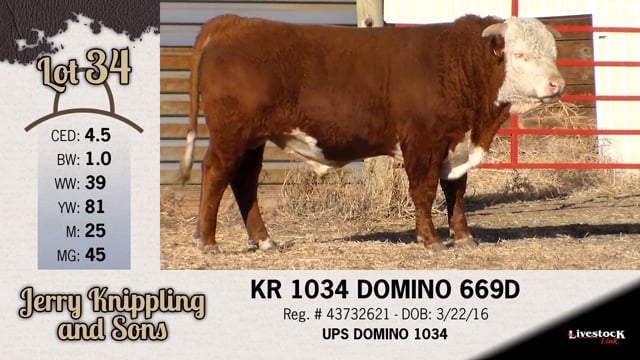 Lot #34 - KR 1034 DOMINO 669D