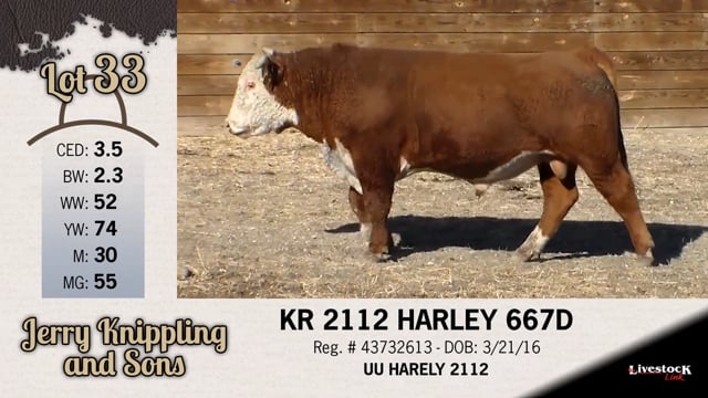 Lot #33 - KR 2112 HARLE 667D