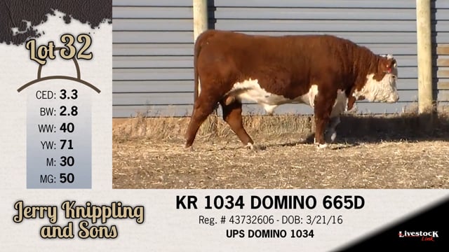 Lot #32 - KR 1034 DOMINO 665D