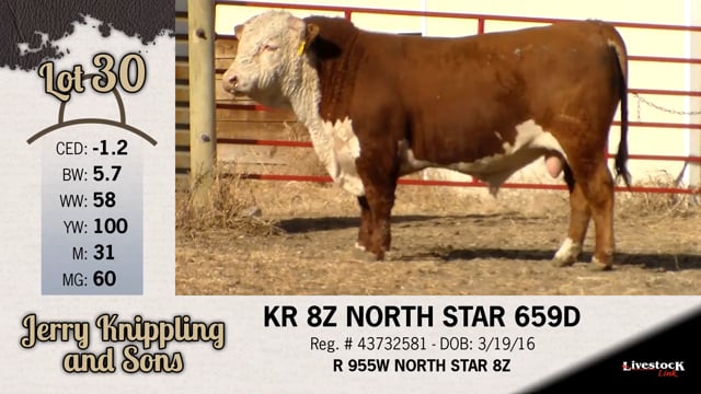 Lot #30 - KR 8Z NORTH STAR 659D