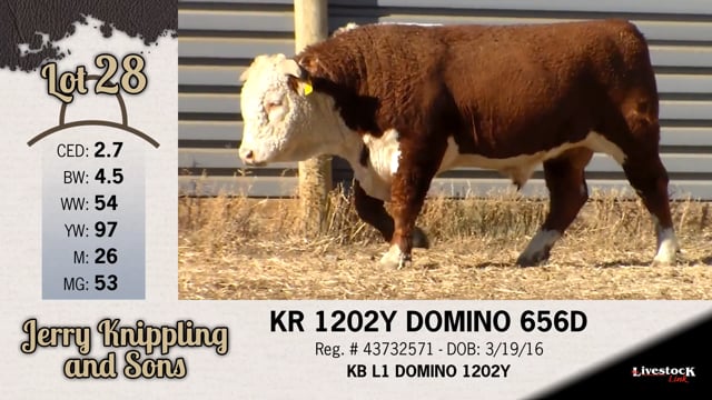 Lot #28 - KR 1202Y DOMINO 656D