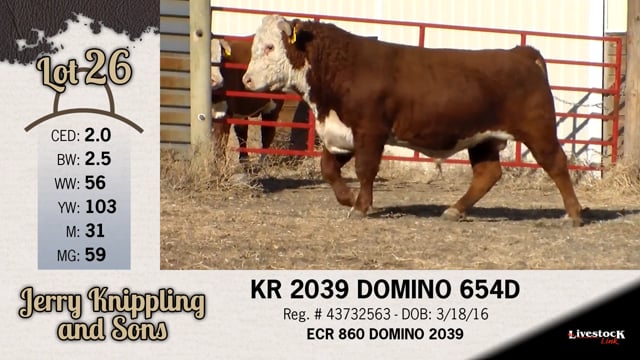 Lot #26 - KR 2039 DOMINO 654D