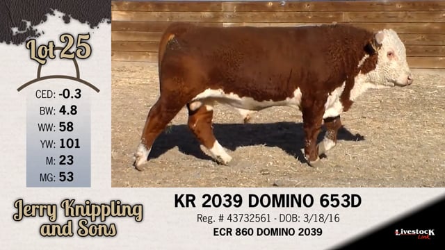 Lot #25 - KR 2039 DOMINO 653D