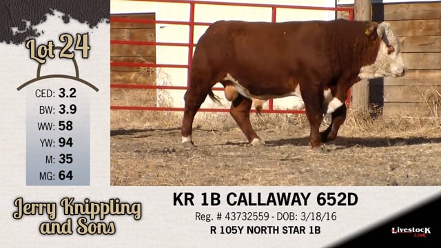 Lot #24 - KR 1B CALLAWAY 652D