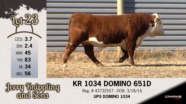 Lot #23 - KR 1024 DOMINO 651D