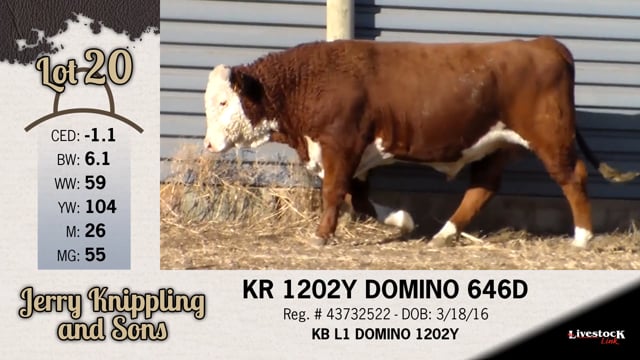 Lot #20 - KR 1202Y DOMINO 646D