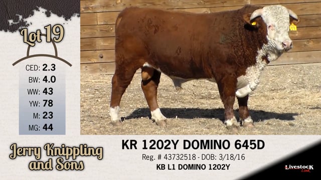 Lot #19 - KR 1202Y DOMINO 645D
