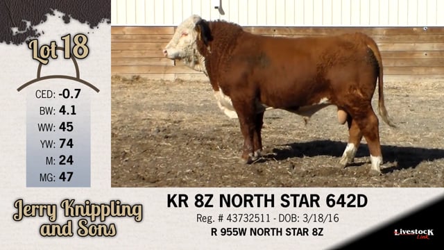 Lot #18 - KR 8Z NORTH STAR 642D