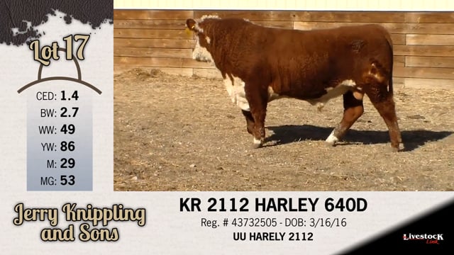 Lot #17 - KR 2112 HARLEY 640D