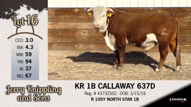 Lot #16 - KR 1B CALLAWAY 637D