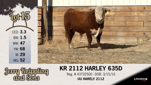 Lot #15 - KR 2112 HARLEY 635D