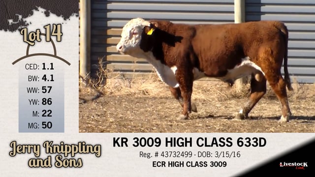 Lot #14 - KR 3009 HIGH CLASS 633D