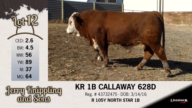 Lot #12 - KR 1B CALLAWAY 628D