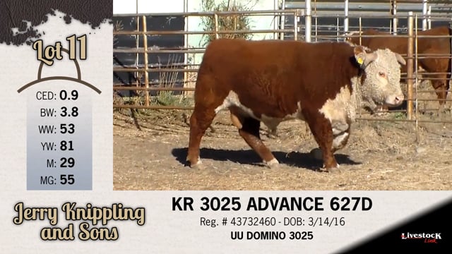 Lot #11 - KR 3025 ADVANCE 627D