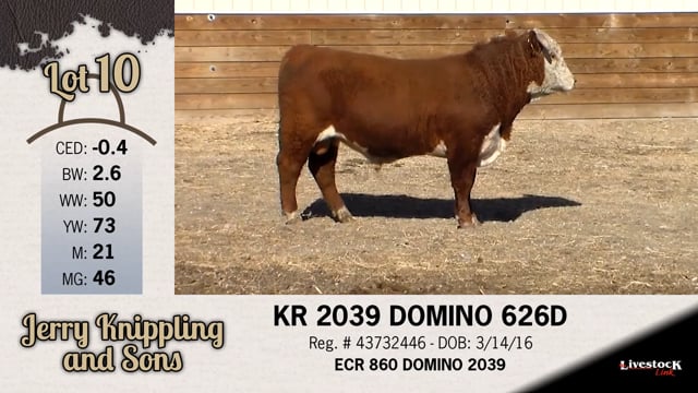 Lot #10 - KR 2039 DOMINO 626D