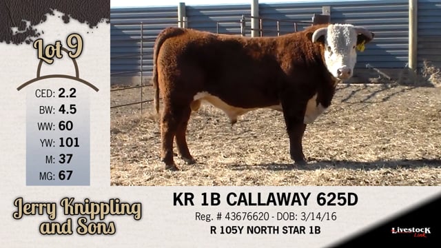 Lot #9 - KR 1B CALLAWAY 625D