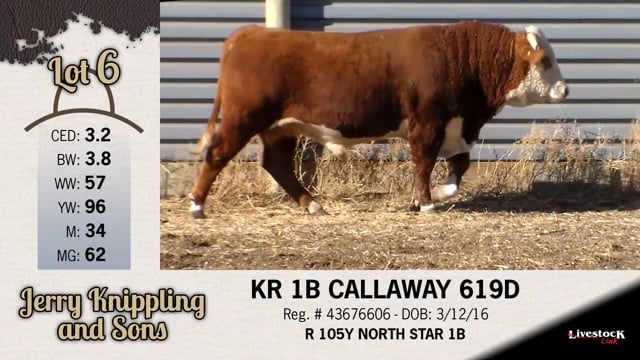 Lot #6 - KR 1B CALLAWAY 619D