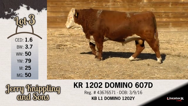 Lot #3 - KR 1202 DOMINO 607D