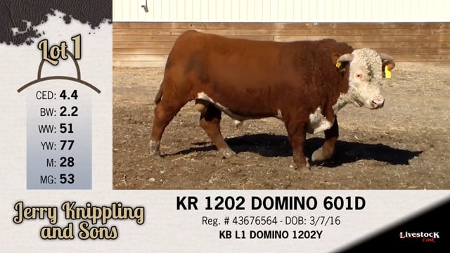 Lot #1 - KR 1202 DOMINO 601D