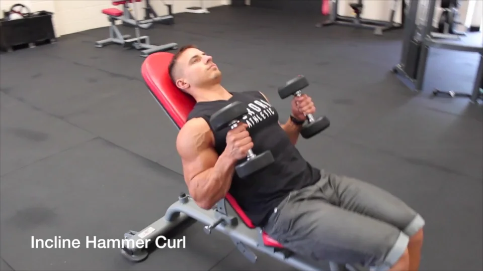 Incline bench hammer discount curl